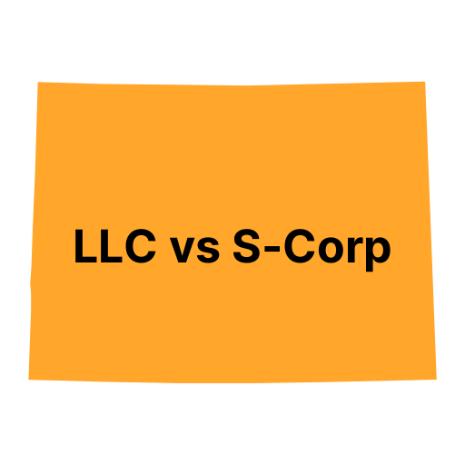 LLC vs. S Corp in Colorado
