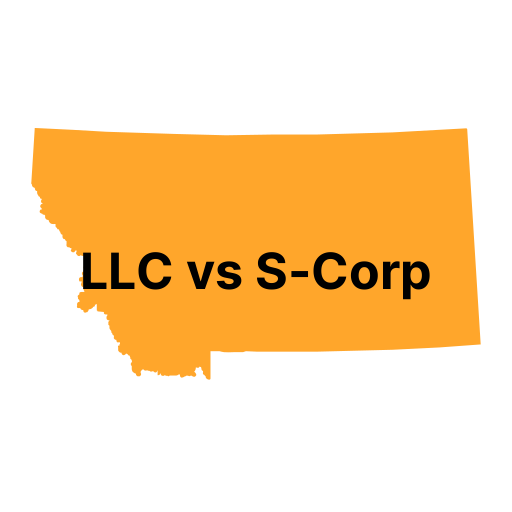 LLC vs. S Corp in Montana