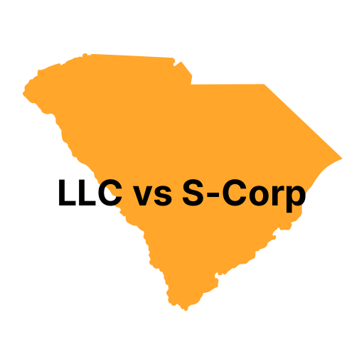 LLC vs. S Corp in South Carolina