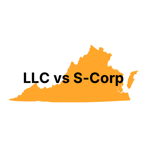 LLC vs. S Corp in Virginia