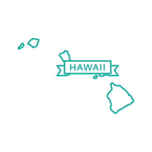 Start an S-corporation in Hawaii