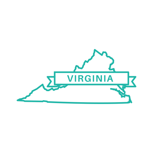 Start an S-corporation in Virginia
